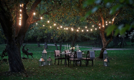 Сценарии с белт-лайтом и дюралайтом во дворе и саду