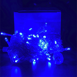 Светодиодная гирлянда нить HOME PRO (50LED, 6м) синий - фото 1 - от производителя RULED